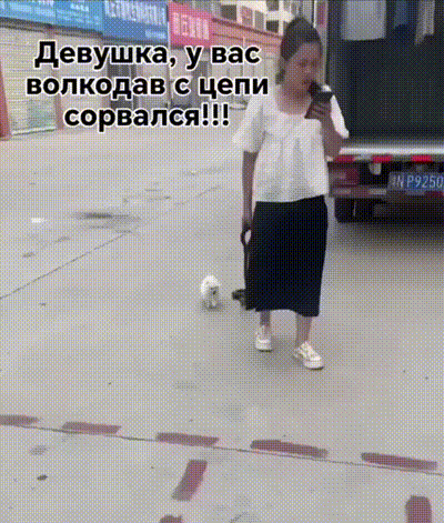 帣ͼƷϵ ѩʱаʺ