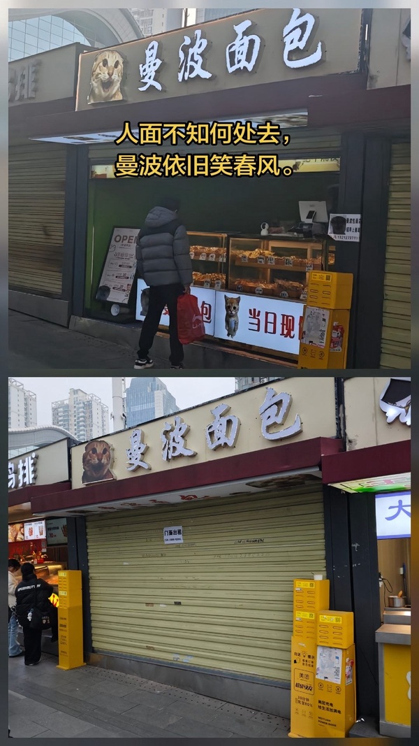 煎蛋 · 杯面骑士
